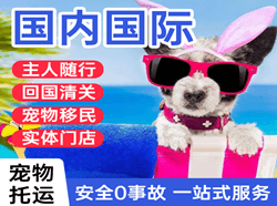 潮汕空运公司国际宠物托运 【国